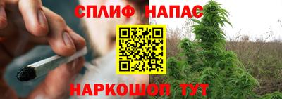 Альфа ПВП Жуковский