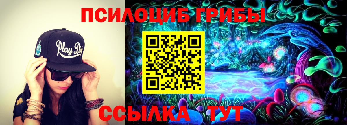 Городец  Галлюциногенные грибы Magic Shrooms  Вход с VPN 